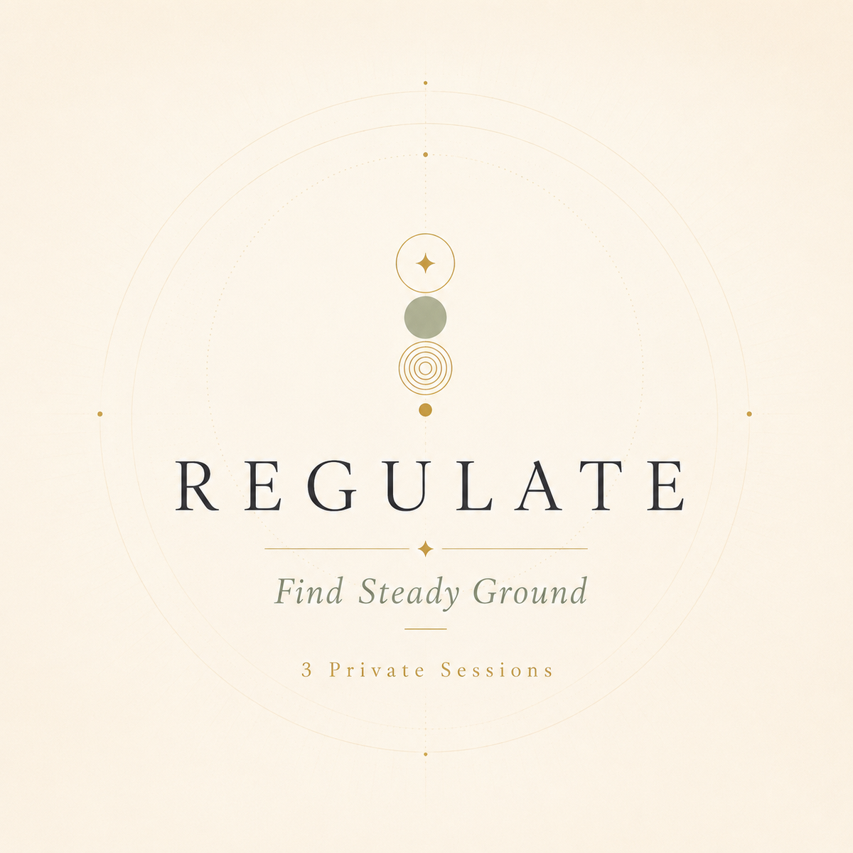 Regulate: 3-Session Coaching Container