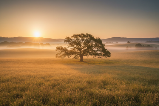 Why Success Should Never Cost You Yourself