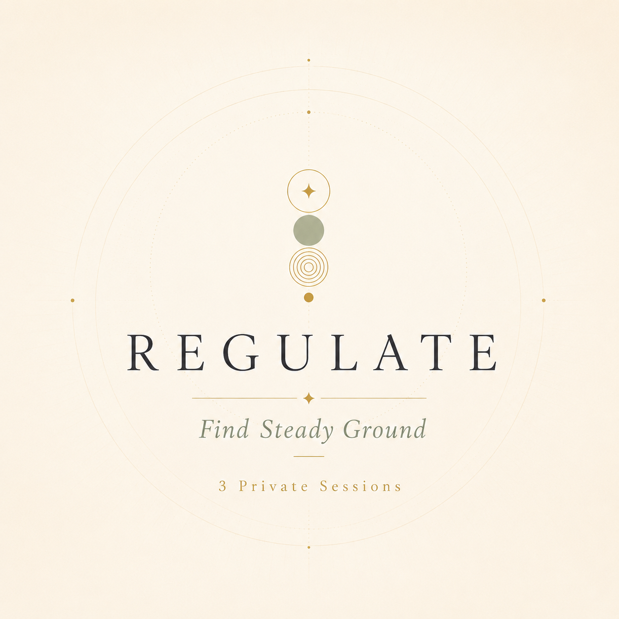 Regulate — 3-Session Coaching Container