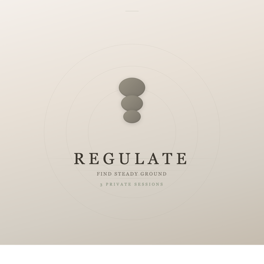 Regulate - 3 Session Private Coaching Container for Artists - The Aligned Artist